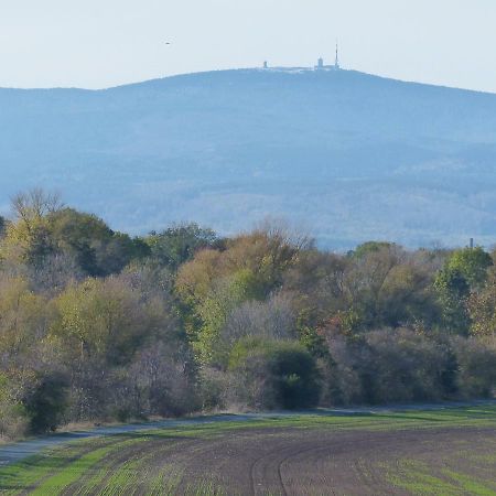 Ferienwohnung Mit Brockenblick Langenstein Экстерьер фото